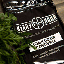 Load image into Gallery viewer, Glenn Beck Special - $10 Special 72-Hour Kit - Sample Pack (16 servings)