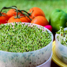 Load image into Gallery viewer, Deluxe Kitchen Crop & Seed Sprouter Trays