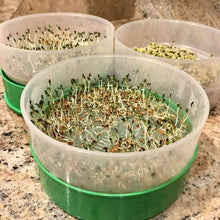 Load image into Gallery viewer, Deluxe Kitchen Crop & Seed Sprouter Trays