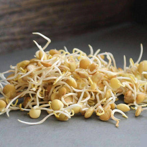 Organic Green Lentil Sprouting Seeds (4 ounces)