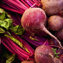 Load image into Gallery viewer, Organic Bull&#39;s Blood Beet Seeds (2g)
