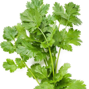 Organic Coriander-Cilantro Herb Seeds (500mg)